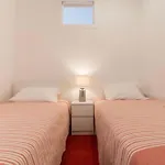 Graca With Terrace In Apartamento Lisboa